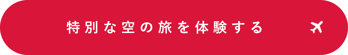 特別な空の旅を体験する